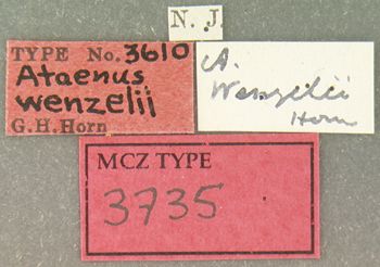 Media type: image;   Entomology 3735 Aspect: labels